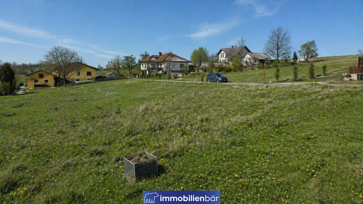 Frühlingsfotos