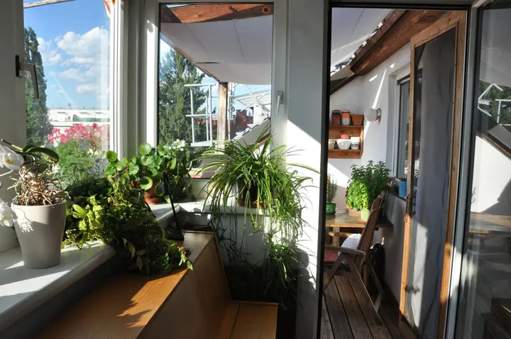 Dachterrasse