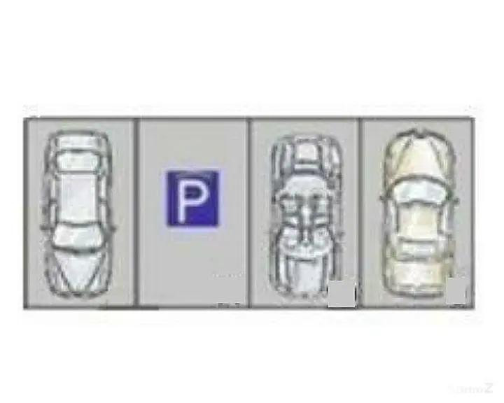 PP