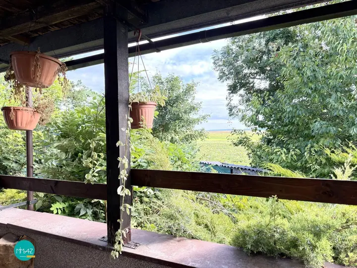 Blick von Terrasse