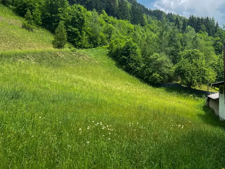 Grundstück