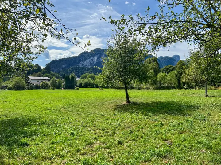 Grundstück