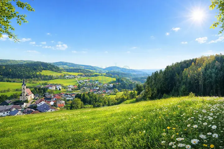 Aussicht Frühling