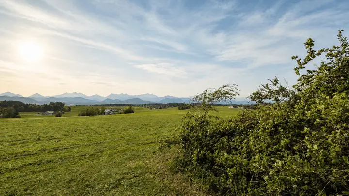Ausblick