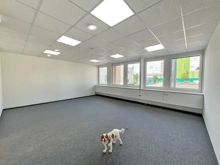 Büro