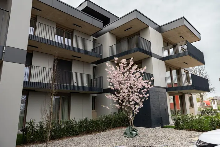 in der Anlage