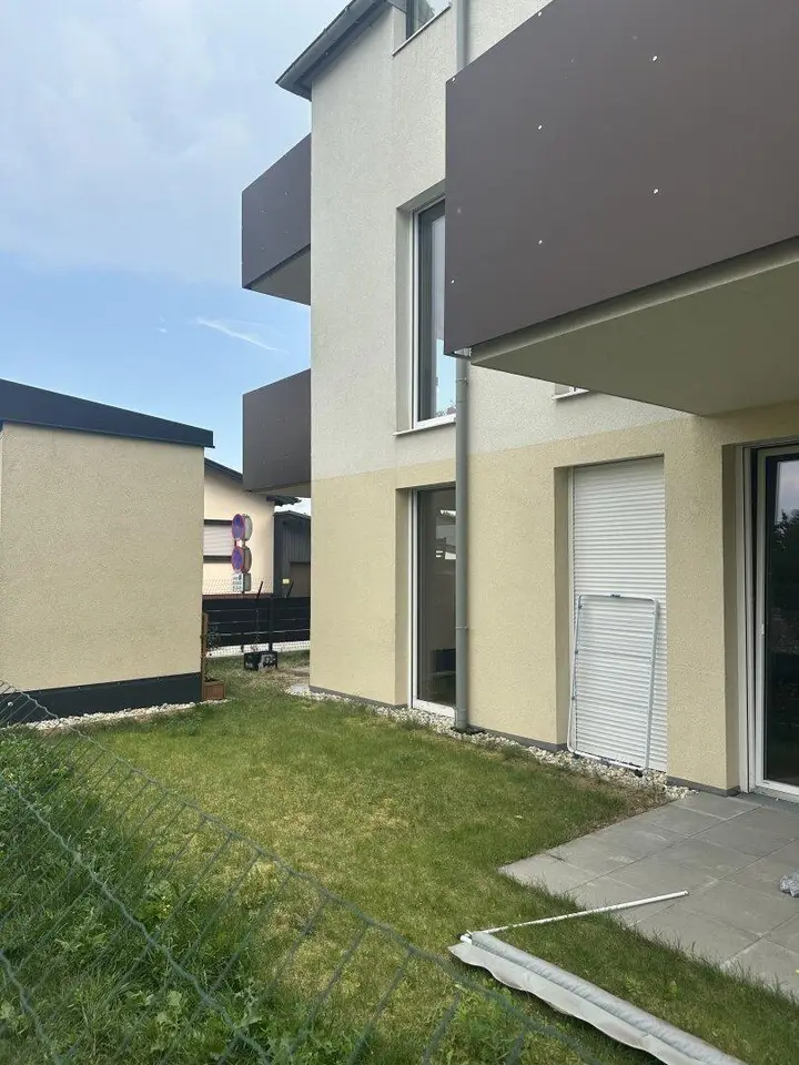 Blick in den Garten