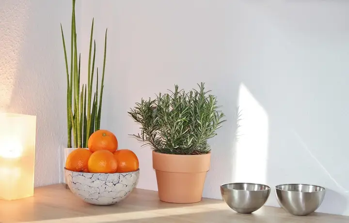 still-life-625935_1280