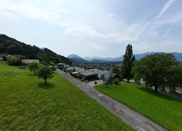 DJI_0207