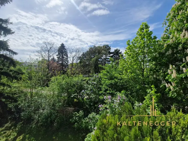 Blick von der Loggia