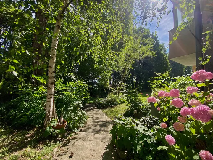 Allgemeiner Garten