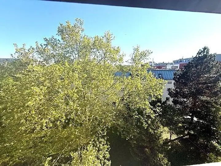 Ausblick