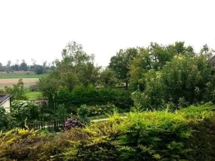 Ausblick OG