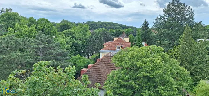 Fantastischer Grünblick