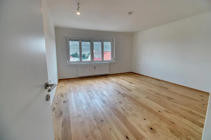 Zimmer