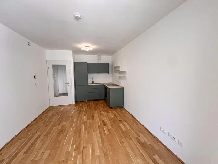 Wohnzimmer mit Küche