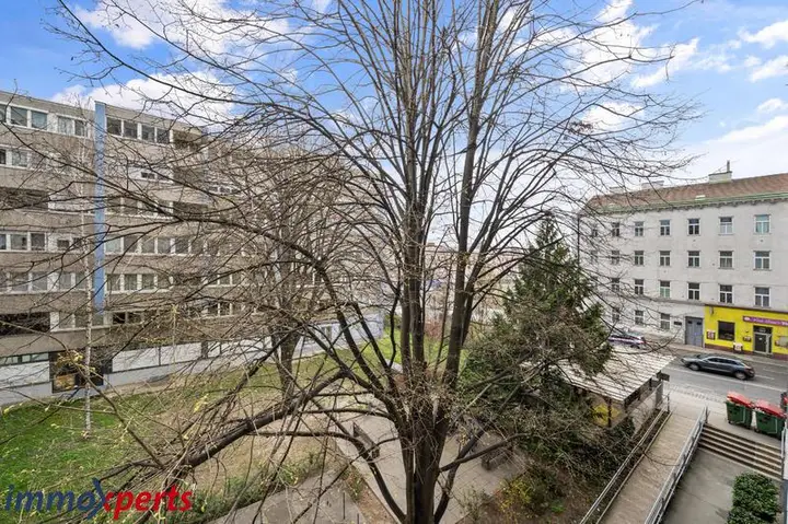 Ausblick von Wohnzimmer und Essplatz