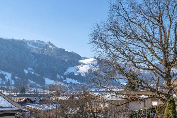 STREIFBLICK