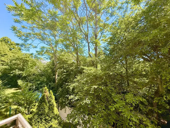 Blick vom Balkon