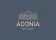 Logo Adonia Immobilien GmbH