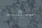 Logo Pettinger & Partner Immobilien GmbH