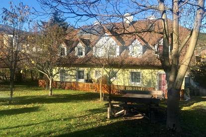 Wohnung Uitikon Waldegg 5 Wohnungen Zum Kauf In Uitikon