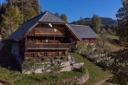 Neues Loft in altem Bauernhaus in alpiner Alleinlage am Waldrand mit Arbeitsausstattung für Miete bis 6 Monate 