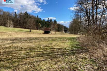 Landwirtschaftliche Fläche - kein Bauland - bei Lannach