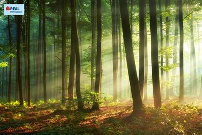 Mietund Immobilienpreise Nrw Landesbetrieb It Nrw