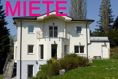 Haus Mieten Wien Umgebung Immmo