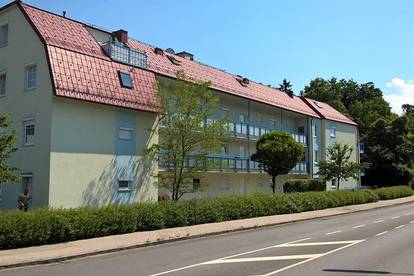 Haus Kaufen Mettmann Hauskauf Mettmann Bei Immonet De