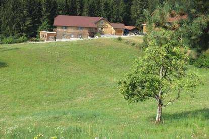 Singles aus Rohrbach in Obersterreich kennenlernen 