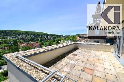 360° TOUR // PENTHOUSE APARTMENT mit WIENBLICK // PENTHOUSE APARTMENT with PANORAMIC VIEWS