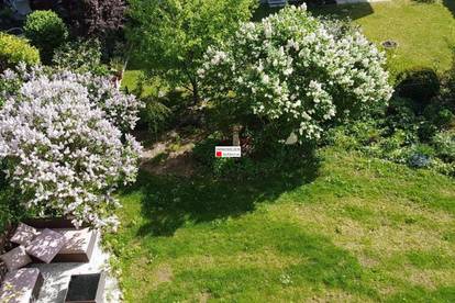 Markt hartmannsdorf single lokale: Niederneukirchen singles 