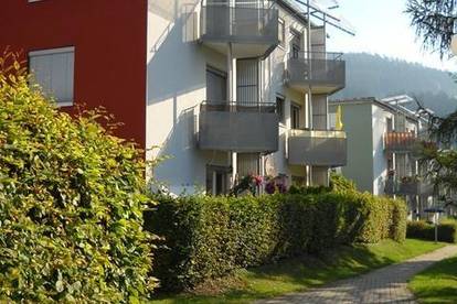 Hollabrunn singles frauen: Sex treffe in Krefeld