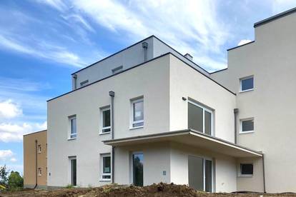 ERSTBEZUG: Singlewohnung mit südwestseitiger Dachterrasse