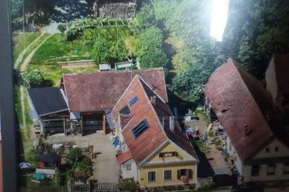 Südburgenland: Saniertes Wohnhaus mit großem Grundstück in Ruhelage!