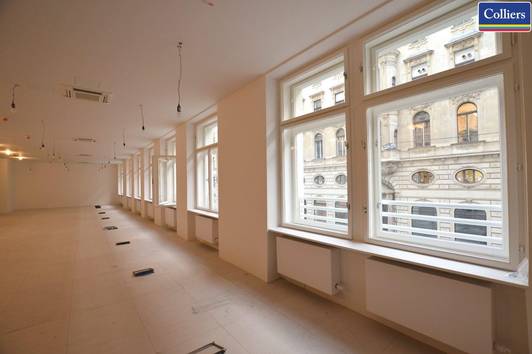 Frisch sanierte Bürofläche am Salzgries | 1010 Wien