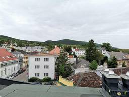 alle eigentumswohnungen in baden immobilien net