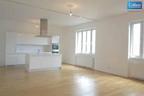 Alle Mietwohnungen Im 4 Bezirk Wieden Immobilien Net