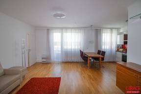 Alle Mietwohnungen Im 1 Bezirk Innere Stadt Immobilien Net