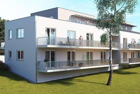 Immobilien Net Immobilien In Ries