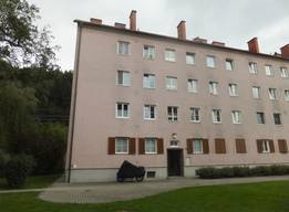 Alle Wohnungen In Bruck Murzzuschlag Immobilien Net