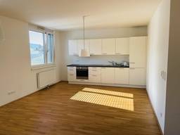 Alle Mietwohnungen In Salzburg Stadt Immobilien Net