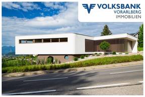 Alle Hauser Kaufen In Feldkirch Immobilien Net