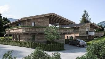 Alle Hauser Kaufen In Kitzbuhel Immobilien Net