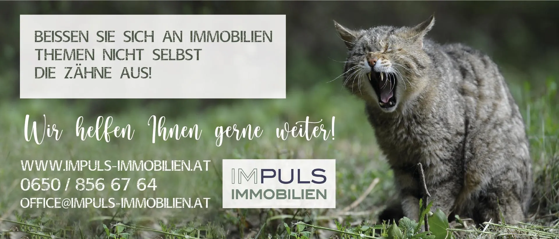 Makler IMPULS Immobilien Verner OG
