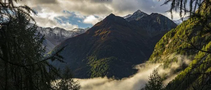 Makler ALP Invest GmbH