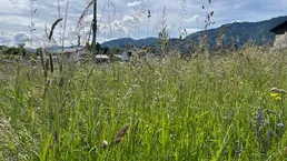 Sonniges Baugrundstück in Arnoldstein 775 m²