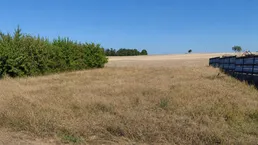 Traditionelles Weinviertel in hervorragender Nähe zu Wien